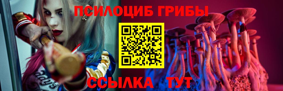 Выкса  Галлюциногенные грибы Psilocybe  Вход с VPN 